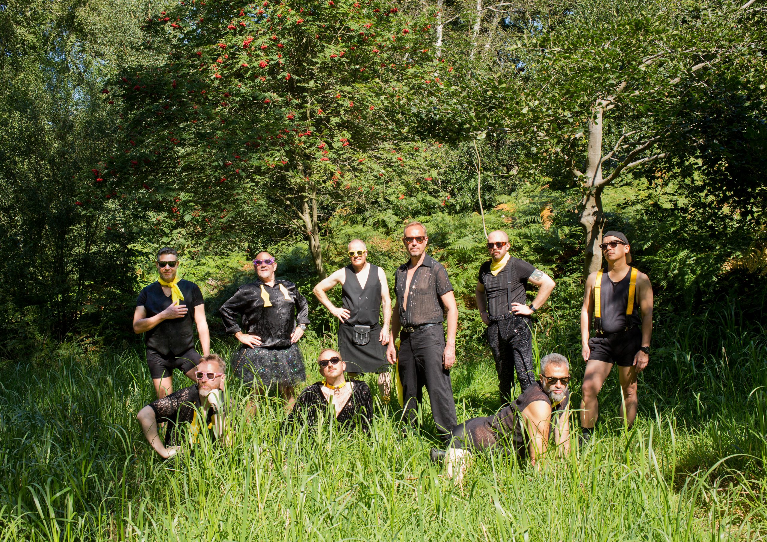The barberfellas in black and yellow standing ina meadow in the middle of a forest.